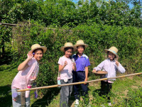 2569 Summer Camp ธีม Nature Kitchen for sustanability world สำหรับนักเรียนชั้น ป.3 (รหัสนักเรียน 66)