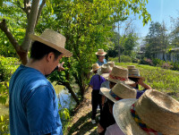 2569 Summer Camp ธีม Nature Kitchen for sustanability world สำหรับนักเรียนชั้น ป.3 (รหัสนักเรียน 66)