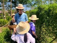 2569 Summer Camp ธีม Nature Kitchen for sustanability world สำหรับนักเรียนชั้น ป.3 (รหัสนักเรียน 66)