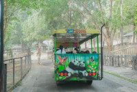 2569 Summer Camp ธีม Under the sea สำหรับนักเรียนชั้น อ.2 (รหัสนักเรียน 67)