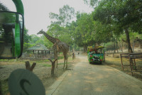 2569 Summer Camp ธีม Under the sea สำหรับนักเรียนชั้น อ.2 (รหัสนักเรียน 67)