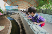 2569 Summer Camp ธีม Under the sea สำหรับนักเรียนชั้น อ.2 (รหัสนักเรียน 67)