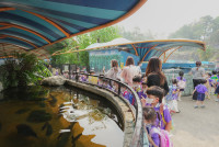 2569 Summer Camp ธีม Under the sea สำหรับนักเรียนชั้น อ.2 (รหัสนักเรียน 67)