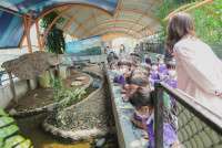 2569 Summer Camp ธีม Under the sea สำหรับนักเรียนชั้น อ.2 (รหัสนักเรียน 67)
