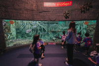 2569 Summer Camp ธีม Under the sea สำหรับนักเรียนชั้น อ.2 (รหัสนักเรียน 67)