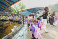 2569 Summer Camp ธีม Under the sea สำหรับนักเรียนชั้น อ.2 (รหัสนักเรียน 67)