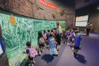 2569 Summer Camp ธีม Under the sea สำหรับนักเรียนชั้น อ.2 (รหัสนักเรียน 67)