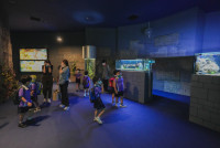 2569 Summer Camp ธีม Under the sea สำหรับนักเรียนชั้น อ.2 (รหัสนักเรียน 67)