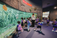 2569 Summer Camp ธีม Under the sea สำหรับนักเรียนชั้น อ.2 (รหัสนักเรียน 67)