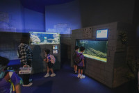 2569 Summer Camp ธีม Under the sea สำหรับนักเรียนชั้น อ.2 (รหัสนักเรียน 67)