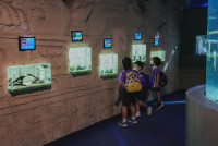 2569 Summer Camp ธีม Under the sea สำหรับนักเรียนชั้น อ.2 (รหัสนักเรียน 67)