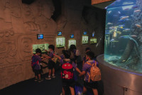 2569 Summer Camp ธีม Under the sea สำหรับนักเรียนชั้น อ.2 (รหัสนักเรียน 67)