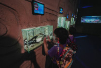 2569 Summer Camp ธีม Under the sea สำหรับนักเรียนชั้น อ.2 (รหัสนักเรียน 67)