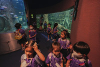 2569 Summer Camp ธีม Under the sea สำหรับนักเรียนชั้น อ.2 (รหัสนักเรียน 67)
