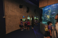 2569 Summer Camp ธีม Under the sea สำหรับนักเรียนชั้น อ.2 (รหัสนักเรียน 67)