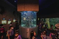 2569 Summer Camp ธีม Under the sea สำหรับนักเรียนชั้น อ.2 (รหัสนักเรียน 67)