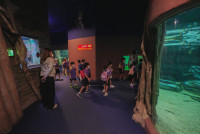 2569 Summer Camp ธีม Under the sea สำหรับนักเรียนชั้น อ.2 (รหัสนักเรียน 67)