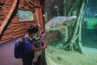 2569 Summer Camp ธีม Under the sea สำหรับนักเรียนชั้น อ.2 (รหัสนักเรียน 67)