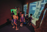 2569 Summer Camp ธีม Under the sea สำหรับนักเรียนชั้น อ.2 (รหัสนักเรียน 67)