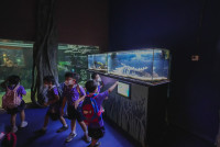 2569 Summer Camp ธีม Under the sea สำหรับนักเรียนชั้น อ.2 (รหัสนักเรียน 67)