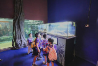 2569 Summer Camp ธีม Under the sea สำหรับนักเรียนชั้น อ.2 (รหัสนักเรียน 67)