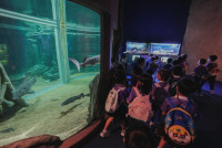 2569 Summer Camp ธีม Under the sea สำหรับนักเรียนชั้น อ.2 (รหัสนักเรียน 67)