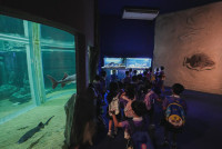 2569 Summer Camp ธีม Under the sea สำหรับนักเรียนชั้น อ.2 (รหัสนักเรียน 67)