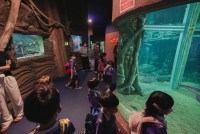 2569 Summer Camp ธีม Under the sea สำหรับนักเรียนชั้น อ.2 (รหัสนักเรียน 67)