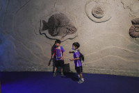 2569 Summer Camp ธีม Under the sea สำหรับนักเรียนชั้น อ.2 (รหัสนักเรียน 67)