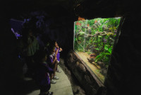 2569 Summer Camp ธีม Under the sea สำหรับนักเรียนชั้น อ.2 (รหัสนักเรียน 67)