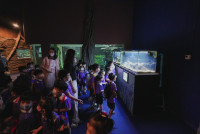 2569 Summer Camp ธีม Under the sea สำหรับนักเรียนชั้น อ.2 (รหัสนักเรียน 67)