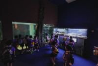 2569 Summer Camp ธีม Under the sea สำหรับนักเรียนชั้น อ.2 (รหัสนักเรียน 67)