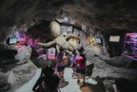 2569 Summer Camp ธีม Under the sea สำหรับนักเรียนชั้น อ.2 (รหัสนักเรียน 67)