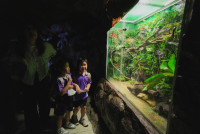 2569 Summer Camp ธีม Under the sea สำหรับนักเรียนชั้น อ.2 (รหัสนักเรียน 67)