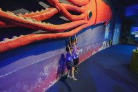 2569 Summer Camp ธีม Under the sea สำหรับนักเรียนชั้น อ.2 (รหัสนักเรียน 67)