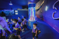 2569 Summer Camp ธีม Under the sea สำหรับนักเรียนชั้น อ.2 (รหัสนักเรียน 67)