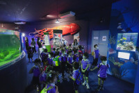 2569 Summer Camp ธีม Under the sea สำหรับนักเรียนชั้น อ.2 (รหัสนักเรียน 67)