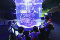 2569 Summer Camp ธีม Under the sea สำหรับนักเรียนชั้น อ.2 (รหัสนักเรียน 67)