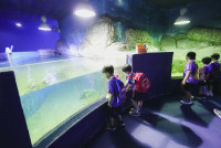 2569 Summer Camp ธีม Under the sea สำหรับนักเรียนชั้น อ.2 (รหัสนักเรียน 67)