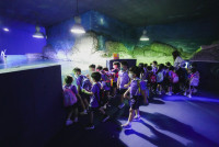 2569 Summer Camp ธีม Under the sea สำหรับนักเรียนชั้น อ.2 (รหัสนักเรียน 67)