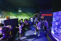 2569 Summer Camp ธีม Under the sea สำหรับนักเรียนชั้น อ.2 (รหัสนักเรียน 67)