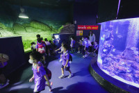 2569 Summer Camp ธีม Under the sea สำหรับนักเรียนชั้น อ.2 (รหัสนักเรียน 67)
