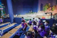 2569 Summer Camp ธีม Under the sea สำหรับนักเรียนชั้น อ.2 (รหัสนักเรียน 67)