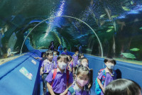 2569 Summer Camp ธีม Under the sea สำหรับนักเรียนชั้น อ.2 (รหัสนักเรียน 67)