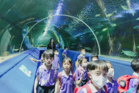 2569 Summer Camp ธีม Under the sea สำหรับนักเรียนชั้น อ.2 (รหัสนักเรียน 67)