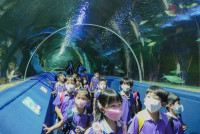 2569 Summer Camp ธีม Under the sea สำหรับนักเรียนชั้น อ.2 (รหัสนักเรียน 67)