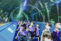 2569 Summer Camp ธีม Under the sea สำหรับนักเรียนชั้น อ.2 (รหัสนักเรียน 67)