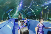 2569 Summer Camp ธีม Under the sea สำหรับนักเรียนชั้น อ.2 (รหัสนักเรียน 67)