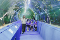 2569 Summer Camp ธีม Under the sea สำหรับนักเรียนชั้น อ.2 (รหัสนักเรียน 67)