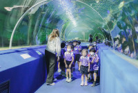 2569 Summer Camp ธีม Under the sea สำหรับนักเรียนชั้น อ.2 (รหัสนักเรียน 67)